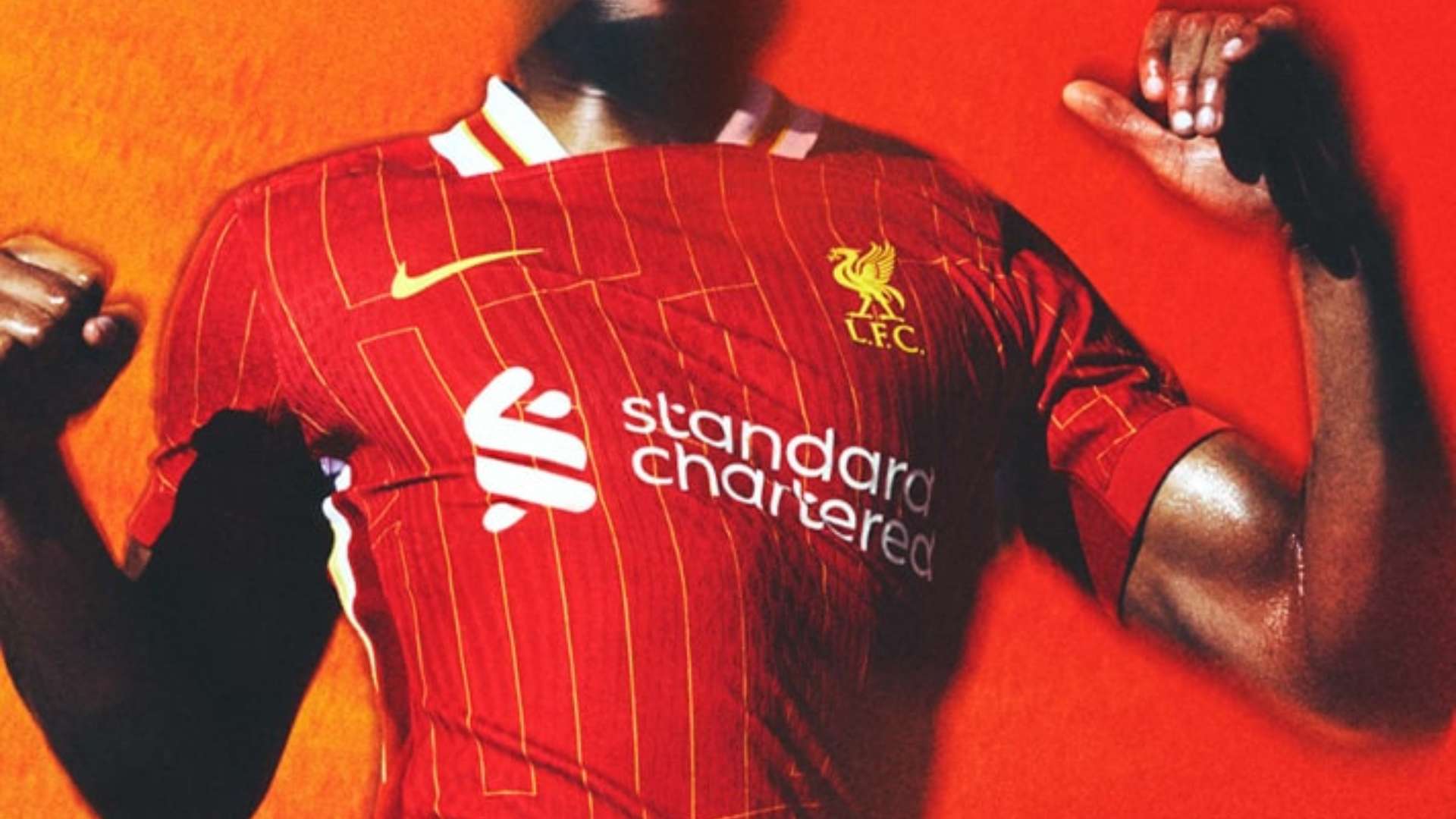 选择戈利尼 选择戈利尼