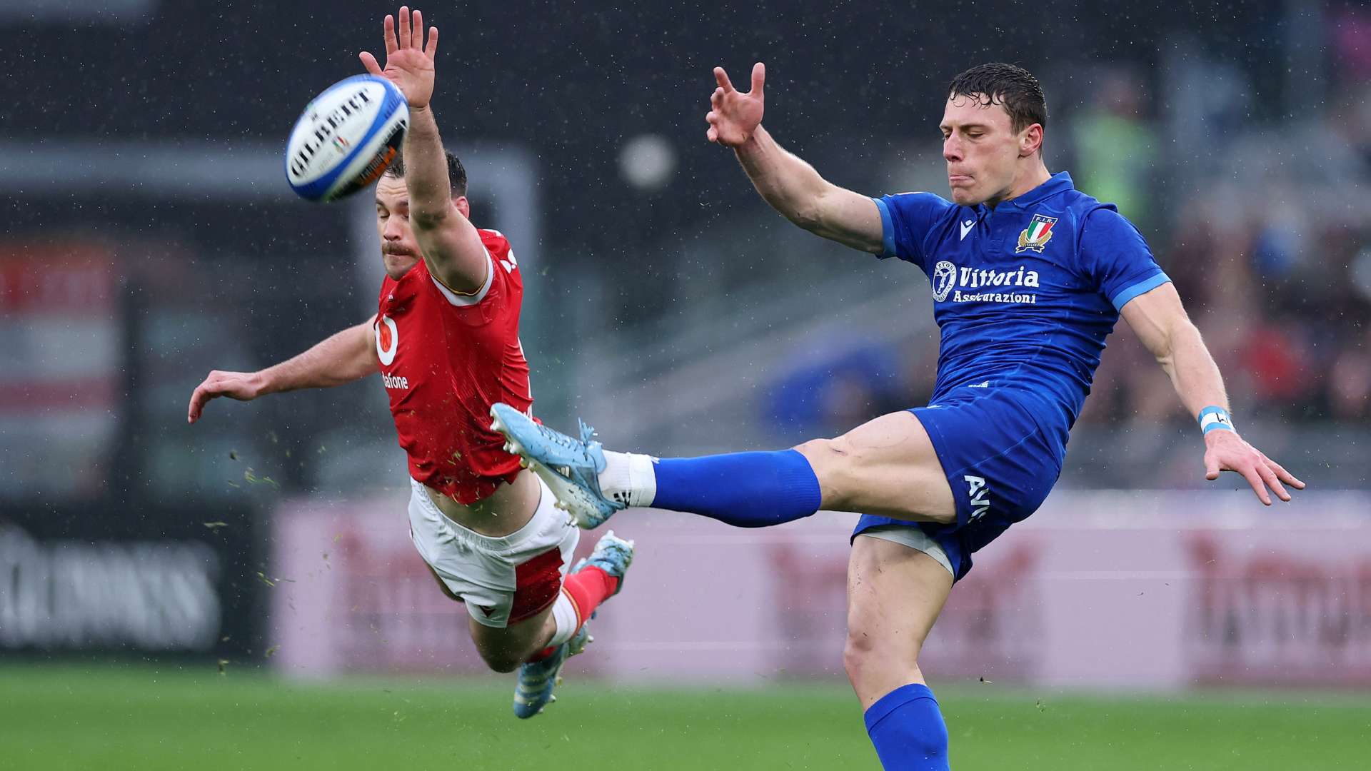 进戈利尼的 进戈利尼的