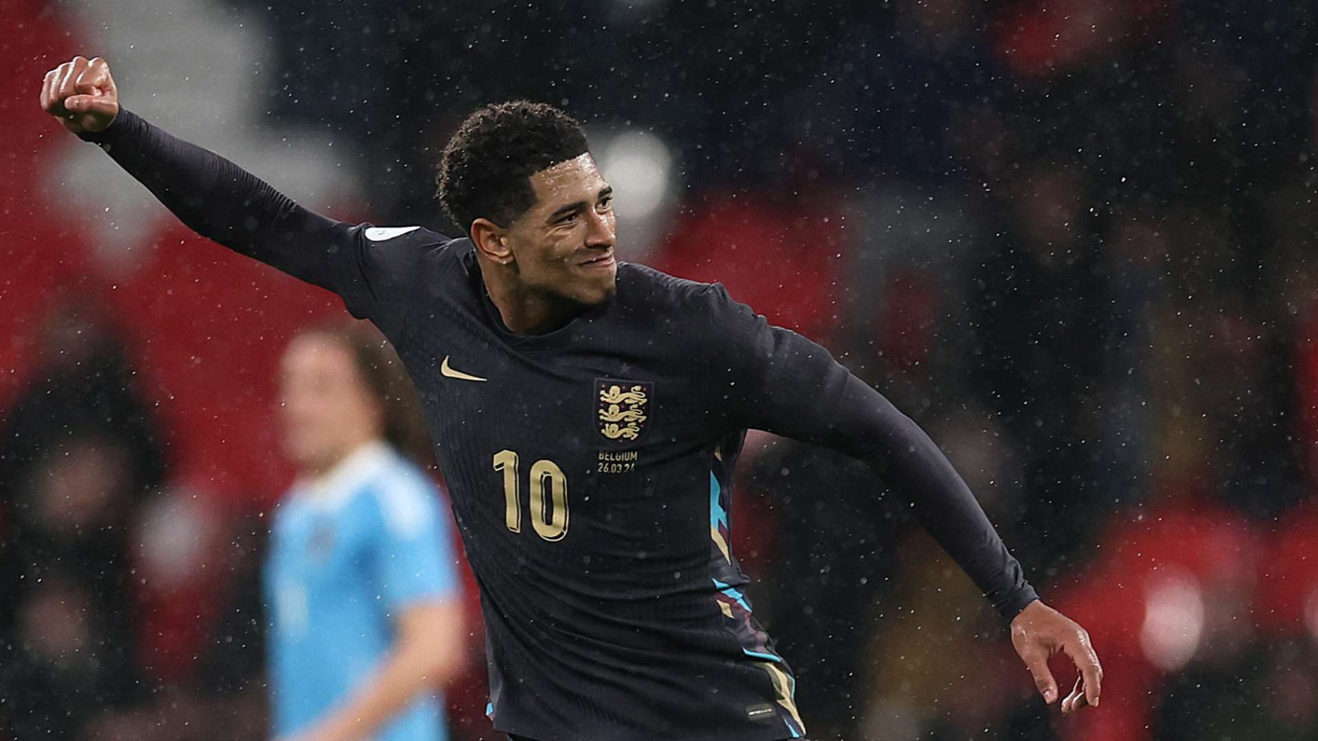 塔图姆的带 塔图姆的带